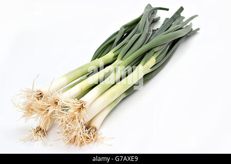 Young spring green onion isolated on white background Stock Photo