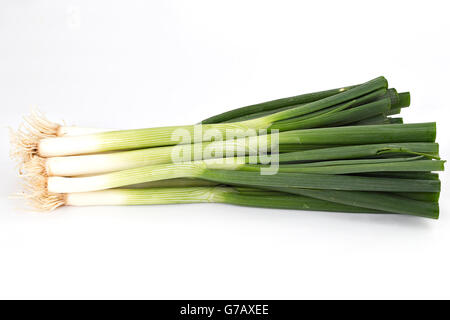 Young spring green onion isolated on white background Stock Photo