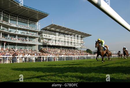 The Evening Press Sunday Raceday Stock Photo