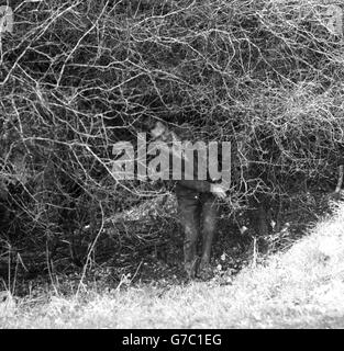 J. P. Allday (Sandy Lodge) in trouble with trees on the 4th (East Course). Stock Photo