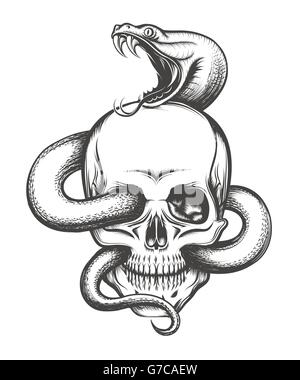 Human skull with crawling snake. Illustration in engraving style. Stock Vector