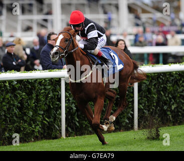 Horse Racing - Racing Post Trophy Day - Doncaster Racecourse. Code Red ridden by Martin Dwyer win the Scott Dobson Memorial Doncaster Stakes during Racing Post Trophy Day at Doncaster Racecourse. Stock Photo