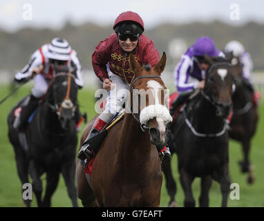 Horse Racing - Racing Post Trophy Day - Doncaster Racecourse. Elm Park ridden by Andrea Atzeni wins the Racing Post Trophy during Racing Post Trophy Day at Doncaster Racecourse. Stock Photo