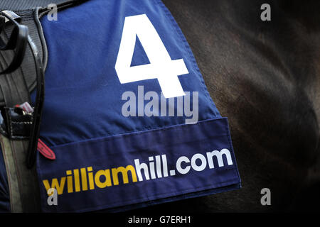 Horse Racing - United House Group Raceday - Ascot Racecourse. Saddle cloth detail Stock Photo