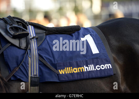 Horse Racing - United House Group Raceday - Ascot Racecourse. Saddle cloth detail Stock Photo