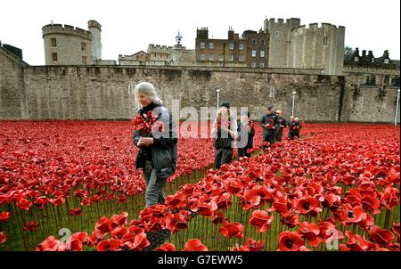 A group of volunteers remove poppies from the moat of the Tower of London, as work begins dismantling the 'Blood Swept Lands and Seas of Red' installation which captured the imagination of Britain as it commemorated the centenary of the First World War. Stock Photo