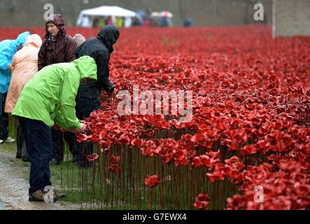 Blood Swept Lands and Seas of Red installation Stock Photo