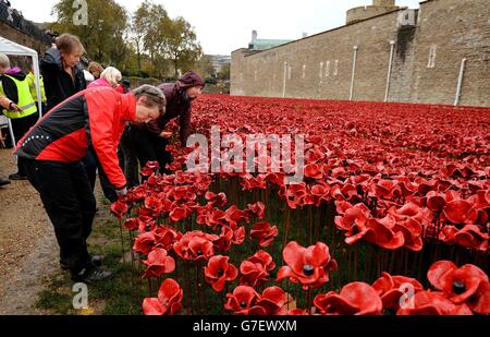 Blood Swept Lands and Seas of Red installation Stock Photo