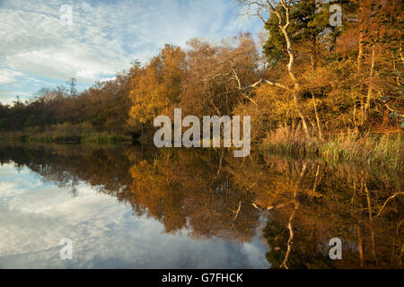 Autumn weather Oct 29th 2014 Stock Photo