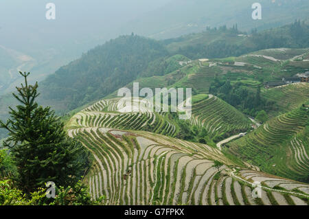 Beautiful rice terraces Jinkeng in Longji, Guangxi Autonomous Region, China Stock Photo