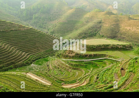 Beautiful rice terraces Jinkeng in Longji, Guangxi Autonomous Region, China Stock Photo