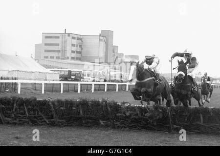 Horse Racing - Papermate Hurdle Race - Dessie Hughes - Liverpool Stock Photo