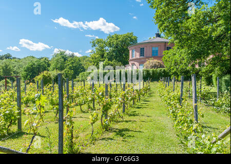 Rosendals garden during summertime in Stockholm, Sweden Stock Photo