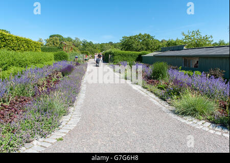 Rosendals garden during summertime in Stockholm, Sweden Stock Photo