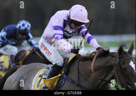 Silviniaco Conti (front), ridden by Noel Fehily, pulls away from Menorah, ridden by Richard Johnson, to win the Betfair Chase at Haydock Racecourse, Merseyside. Picture date: Saturday November 22, 2014. Stock Photo