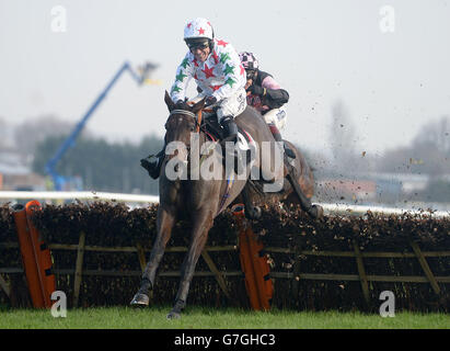 Carrigmoorna Rock ridden by A.P.McCoy jumps the last to win the Thoroughbred Breeders' Association Mares' Novices Hurdle Race during The bet365 Hennessy Festival at Newbury Racecourse, Berkshire. Stock Photo