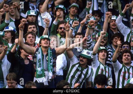 Soccer - European Cup Winners Cup - Final - Everton v Rapid Vienna - De Kuip, Rotterdam. Rapid Vienna fans in De Kuip. Stock Photo