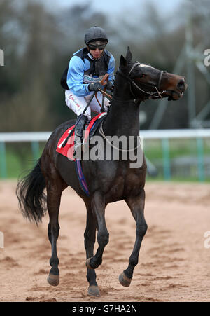 Horse Racing - Southwell Racecourse Stock Photo