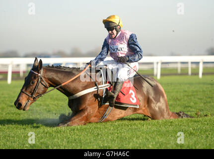 Horse Racing - Kempton Racecourse. Polly Peachum, ridden by Barry Geraghty, falls at the last fence during the OLBG Mares' Hurdle at Kempton Racecourse, Surrey. Stock Photo