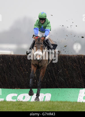 Comeonginger ridden by jockey Trevor Whelan jumps the last during the Bet365 Conditional Jockeys' Handicap Chase during day 2 of the bet365 Hennessy Festival at Newbury Racecourse, Berkshire Stock Photo