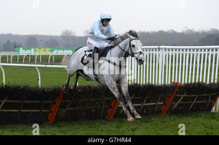 Seven Nation Army ridden by jockey Paddy Brennan jumps the last during the Bet365 'national Hunt' Maiden Hurdle during day 2 of the bet365 Hennessy Festival at Newbury Racecourse, Berkshire Stock Photo