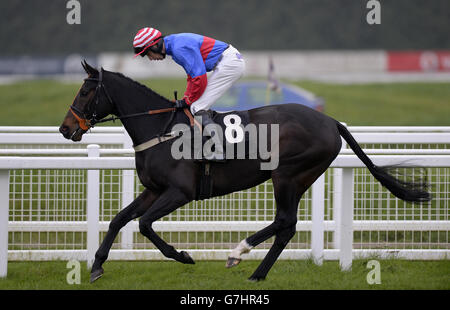 Lamool ridden by jockey Michael Byrne goes to post in the Bet365 Open Handicap Chase during day two of the bet365 Hennessy Festival at Newbury Racecourse, Berkshire. Stock Photo