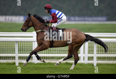 Karezak ridden by jockey Richard Johnson goes to post in the Q Associates Juvenile Hurdle during day two of the bet365 Hennessy Festival at Newbury Racecourse, Berkshire. Stock Photo