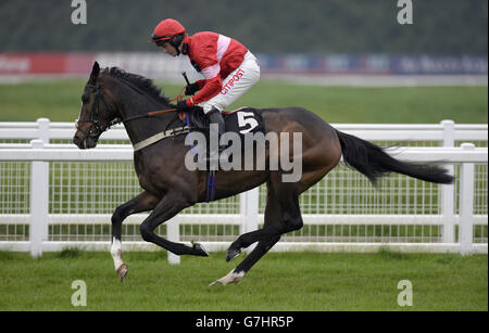 Mick Jazz ridden by jockey Noel Fehily goes to post in the Q Associates Juvenile Hurdle during day two of the bet365 Hennessy Festival at Newbury Racecourse, Berkshire. Stock Photo