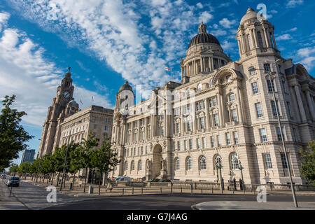 Three Graces Liver Building Cunard Building The Port of Liverpool Building bathed in evening sunlight Stock Photo