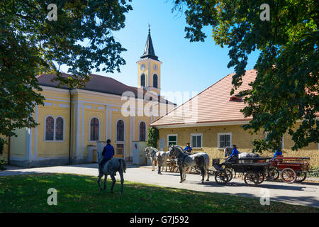 National stud, Kladruby nad Labem (Kladrub an der Elbe), Czech Republic, Pardubicky, Pardubitzer Region, Pardubice Region, Stock Photo