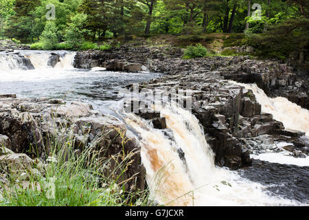 Hard dolerite rock resisting erosion by the River Tees, Low Force waterfall, Teesdale, County Durham, England, UK Stock Photo