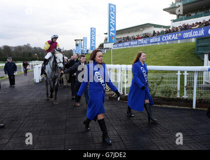 Jockey Sean Bowen and Awaywiththegreys make their way in after his victory in the Coral Proud Supporters Of British Horse Racing Handicap Hurdle during Coral Welsh Grand National Day at Chepstow Racecourse, Chepstow. PRESS ASSOCIATION Photo. Picture date: Saturday December 27, 2014. Photo credit should read: David Davies/PA Wire. Stock Photo