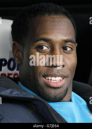 Soccer - Barclays Premier League - Newcastle United v Everton - St James' Park. Newcastle United's Vurnon Anita Stock Photo