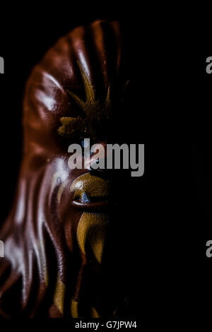 Lego Star Wars Chewbacca Portrait Stock Photo