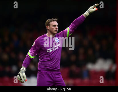 Soccer - FA Cup - Third Round - Brentford v Brighton and Hove Albion - Griffin Park Stock Photo