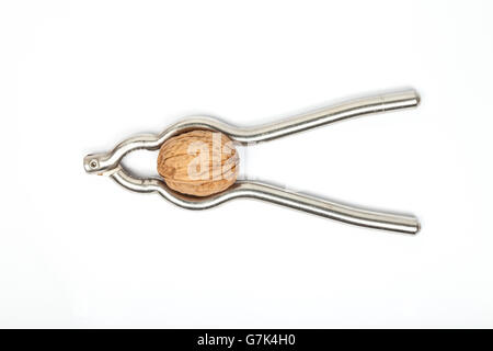 Nutcracker with walnut isolated Stock Photo