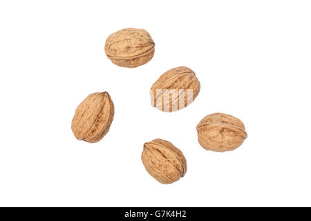 Some walnuts isolated Stock Photo