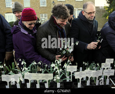 Myddelton House Gardens' snowdrop sale Stock Photo