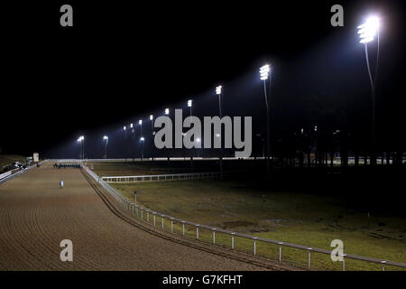 Horse Racing - Chelmsford City Racecourse Stock Photo