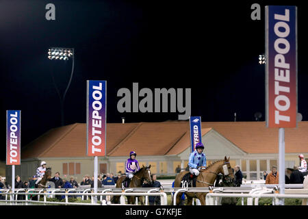 Horse Racing - Chelmsford City Racecourse. Soaring Spirits ridden by Jimmy Quinn (right) and Lady Brigid ridden by Jim Crowley (centre) are paraded before the totequadpot Handicap Stock Photo