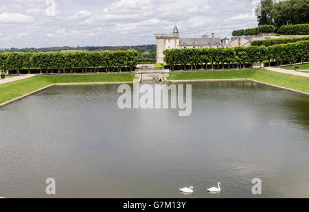 Chateau Villandry Gardens Loire Valley France Stock Photo