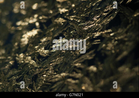 Car windshield with glass frozen with ice patterns at sunrise close-up Stock Photo