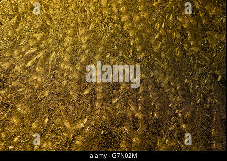 Car windshield with glass frozen with ice patterns at sunrise close-up Stock Photo