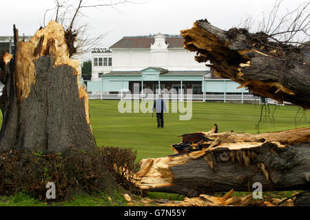 Simon Williamson Assistant Head Groundsman surveys whats left of the famous Lime Tree at the St. Lawrence Cricket Ground, the home of Kent County Cricket Club, after it was blown over in high winds during the weekend. Stock Photo