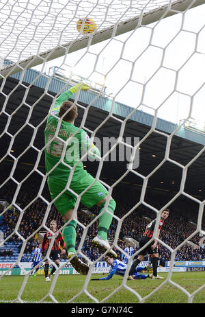 Sheffield Wednesday's Sergiu Bus has a shot saved by and Brighton & Hove Albion's David Stockdale Stock Photo