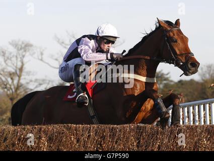 Traffic Fluide ridden by Joshua Moore clears the last fence before going on to win the 16.20; The William Hill Daily Cheltenham Specials Novices' Limited Handicap Steeple Chase Race run during William Hill Imperial Cup Day at Sandown Racecourse, Surrey. Stock Photo