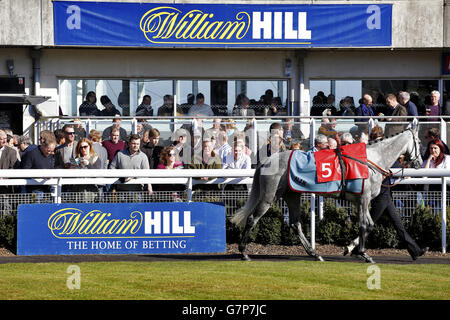 Horse Racing - William Hill Imperial Cup Day - Sandown Racecourse Stock Photo