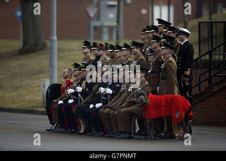 The Duke and Duchess of Cambridge (front row seated) have their photograph taken with members of the 1st Battalion Irish Guards at the St. Patrick's Day Parade at Mons Barracks, Aldershot, Hampshire, during a visit to mark St Patrick's Day today. Stock Photo