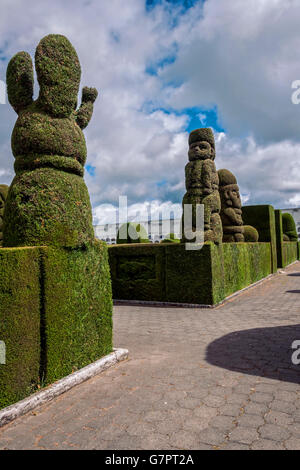 Tulcan Is Known For The Most Elaborate Topiary In The New World, Ecuador, South America The Second In The World Stock Photo