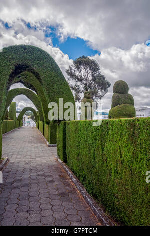 Tulcan Is Known For The Most Elaborate Topiary In The New World, Where The Trees Have The Form Like Animals, Archways, Angels Stock Photo